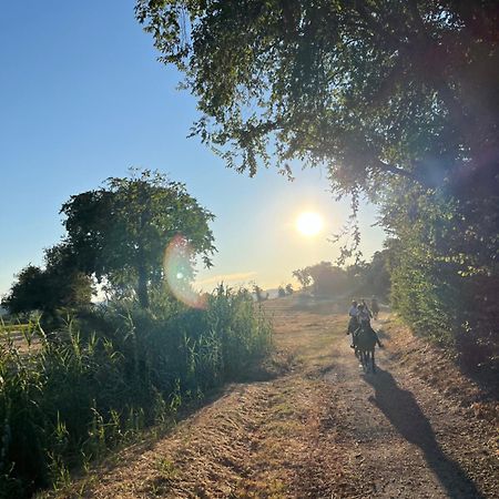 Agriturismo Hornos 努马纳 外观 照片