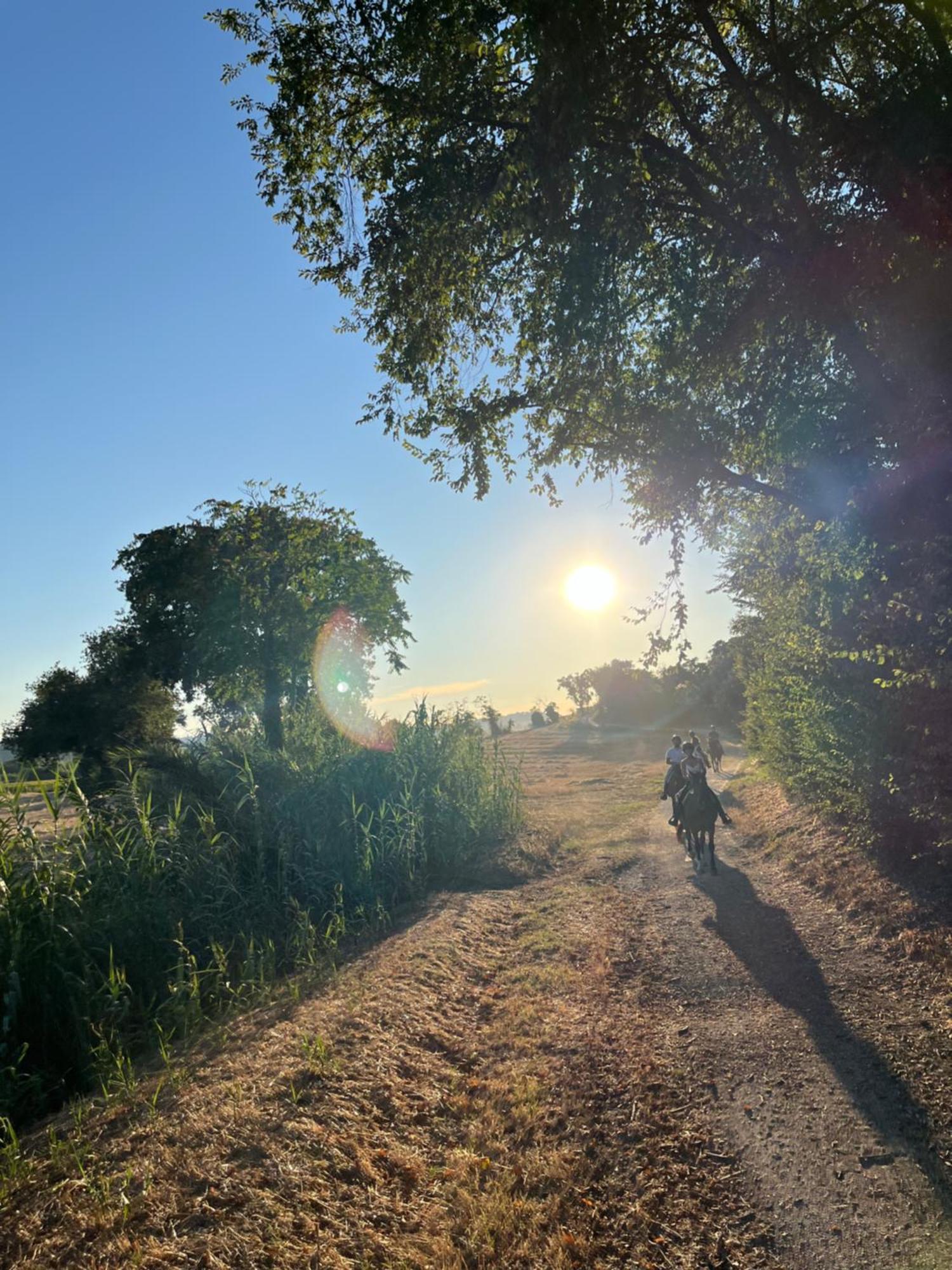 Agriturismo Hornos 努马纳 外观 照片